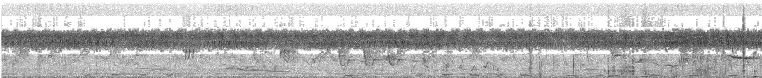 Greater Coucal - ML646788648