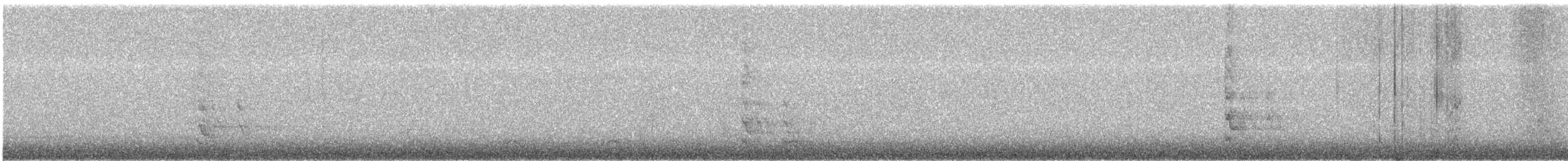 datel karolínský - ML646788828