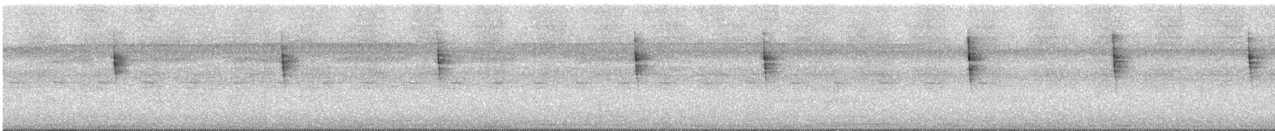 svarthetteparula - ML646788947