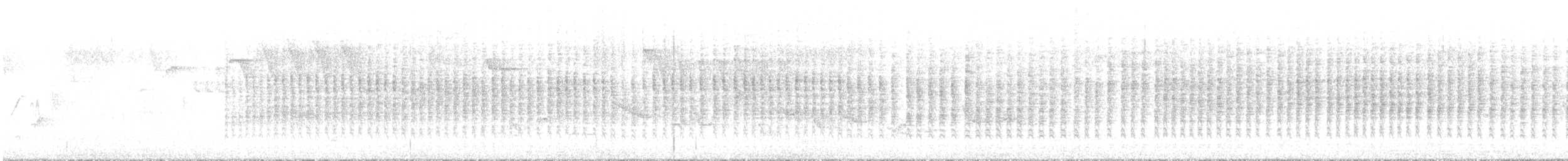 Melodious Warbler - ML646788991