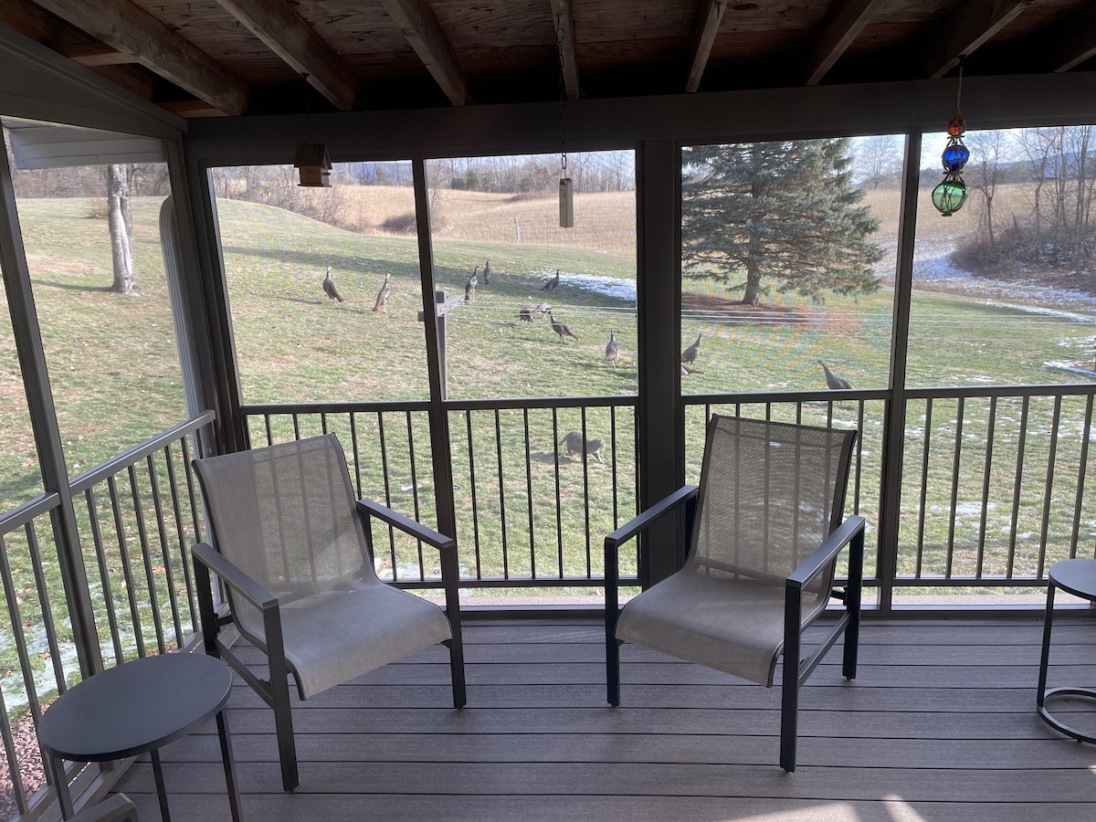 kalkun - ML646789225