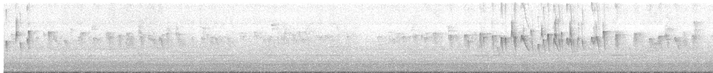 Sicksegler - ML646789380