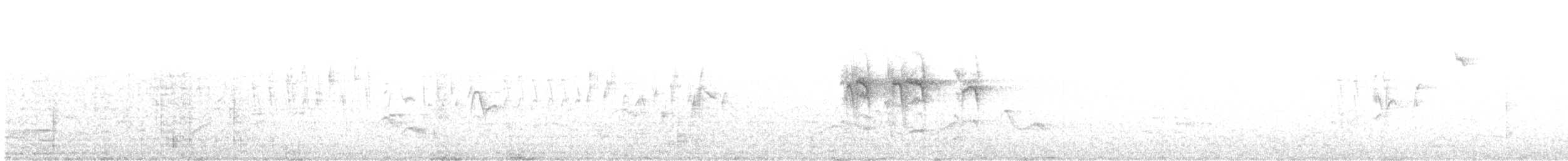 Austral Thrush - ML646789446