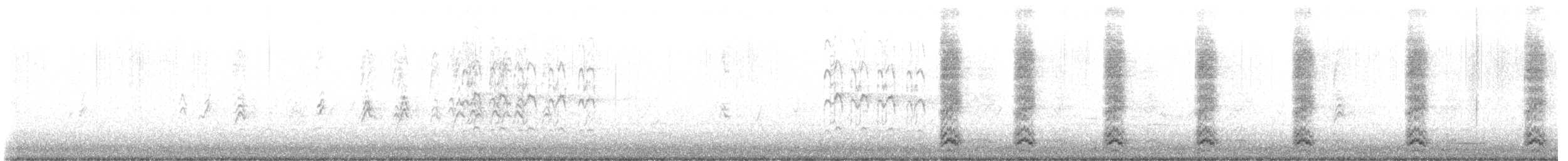 American Kestrel - ML646789587