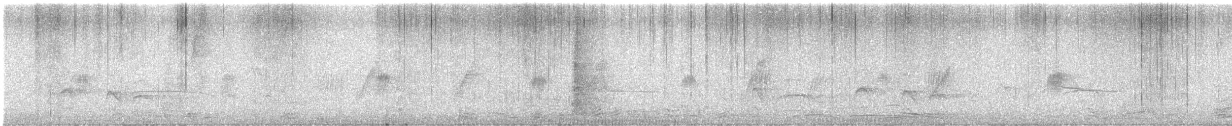 Brown-chested Martin - ML646789672