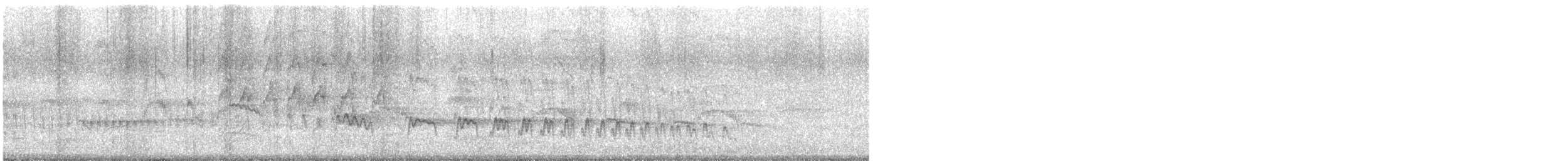 Narrow-billed Woodcreeper - ML646789803