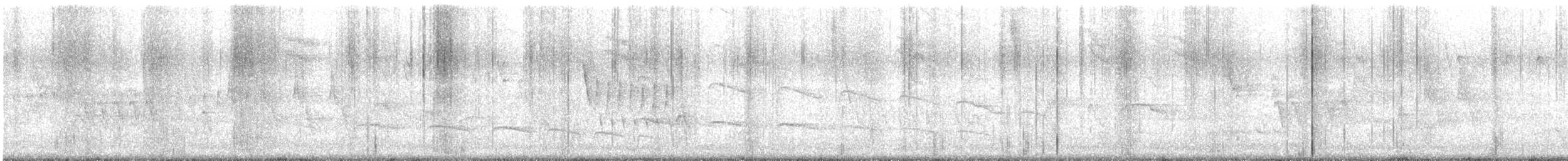 Narrow-billed Woodcreeper - ML646789804