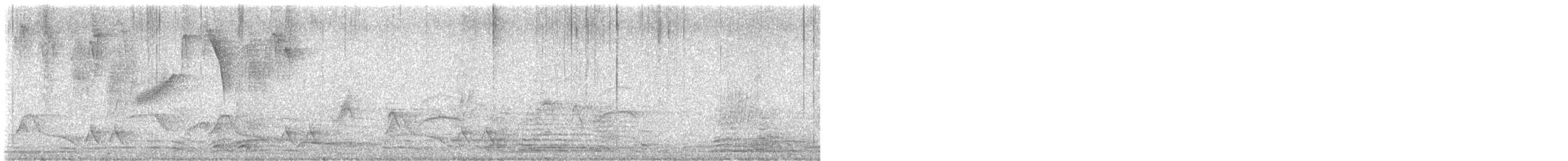 skjeggsmett - ML646789828