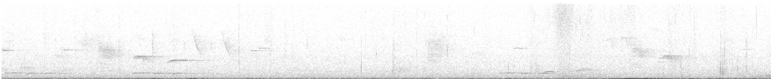 Indian Scimitar-Babbler - ML646790570