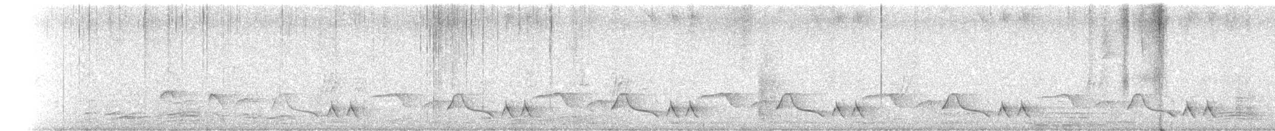 skjeggsmett - ML646790631