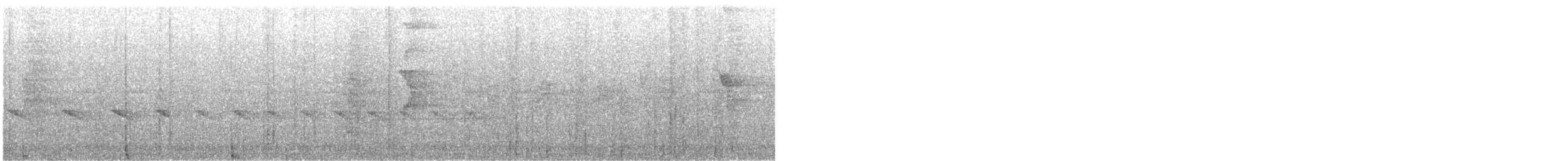 blåskallemaurfugl - ML646790640