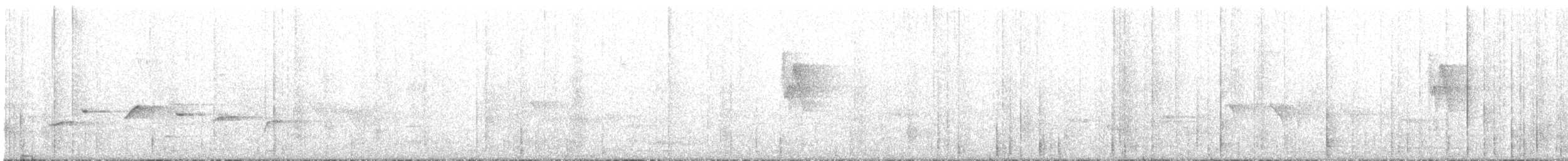 Spot-breasted Fantail - ML646790803