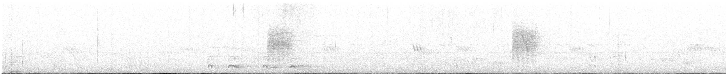 Серый петух - ML646790966