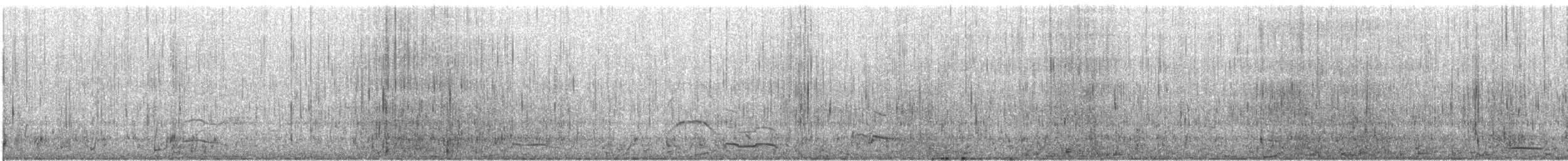 Серокрылая чайка - ML646791125