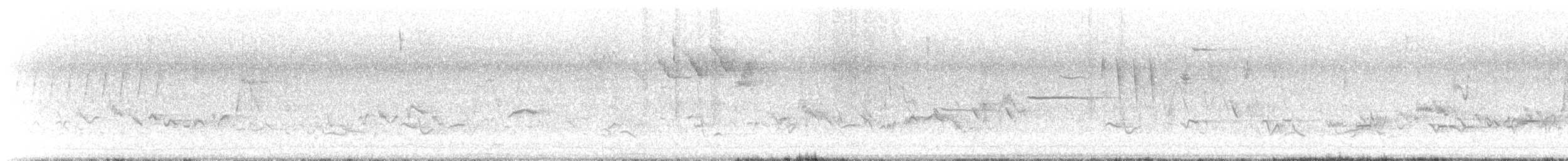 Eastern Warbling Vireo - ML646791162