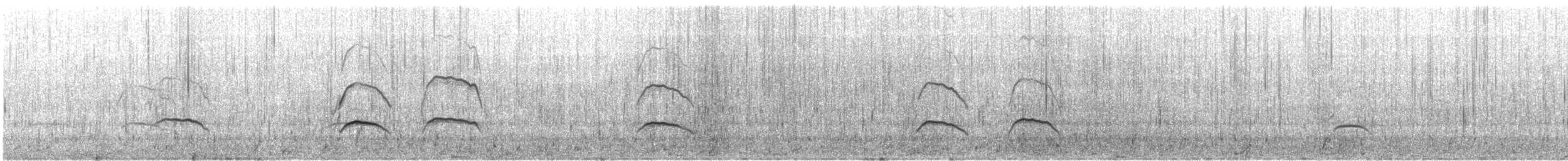 Чёрный кулик-сорока - ML646791232