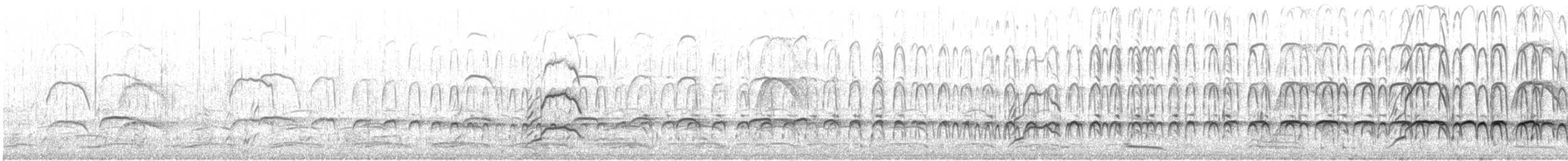 Чёрный кулик-сорока - ML646791233