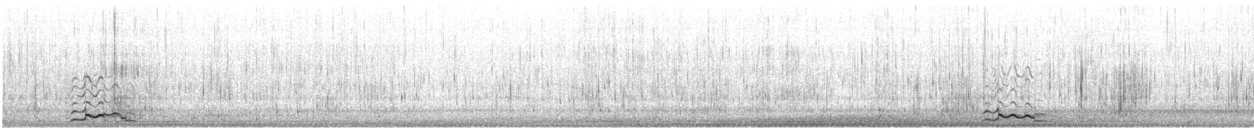 Черноклювая гагара - ML646791235