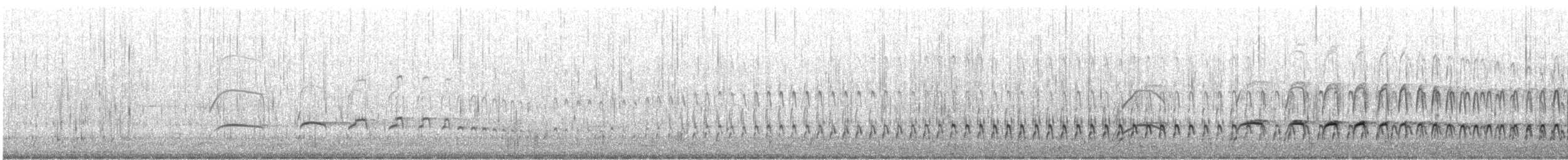 Чёрный кулик-сорока - ML646791320