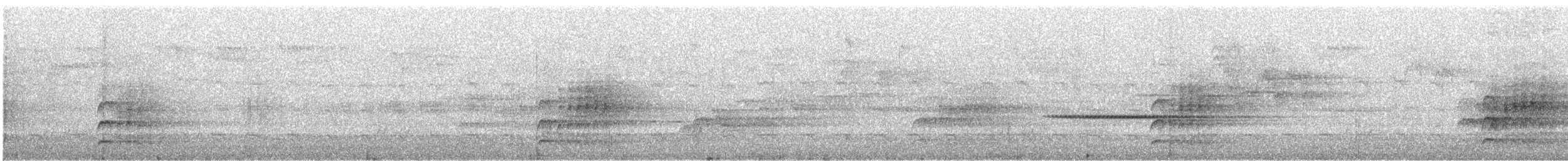 Дрозд Свэнсона [группа ustulatus] - ML646791326