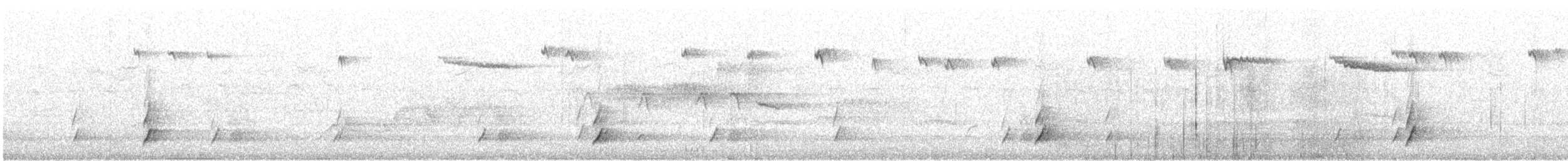 Дрозд Свэнсона [группа ustulatus] - ML646791327