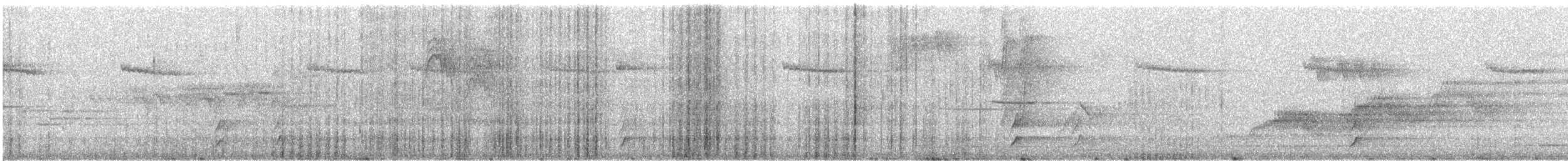 Дрозд Свэнсона [группа ustulatus] - ML646791334