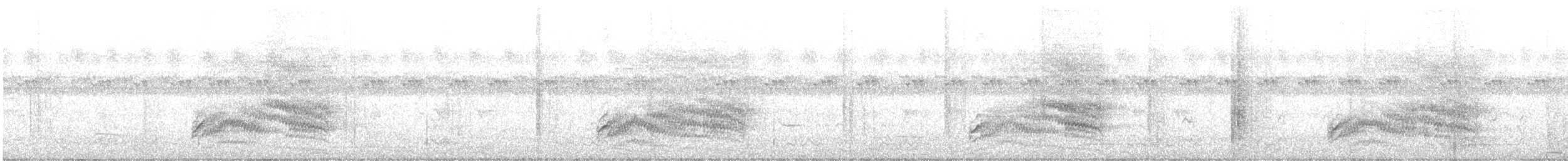 African Black-headed Oriole - ML646791459