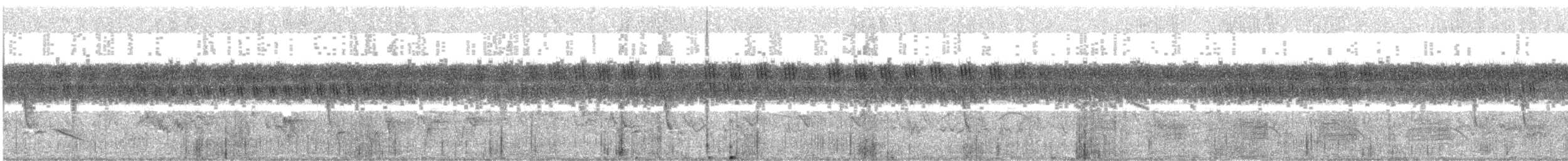 Indian Spot-billed Duck - ML646791656