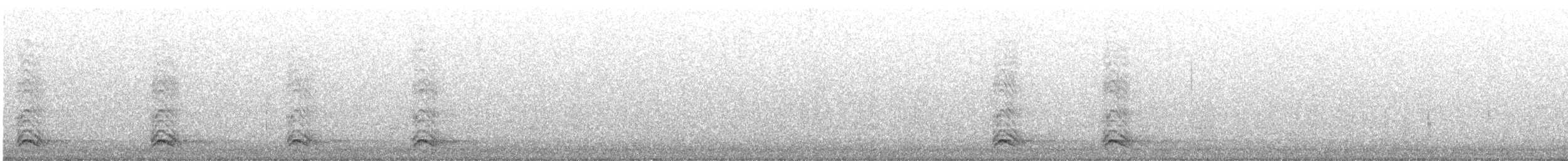 American Crow - ML646792121