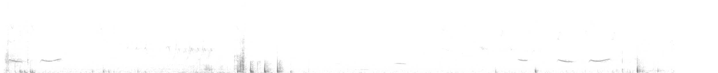 Atuen Antpitta - ML646792615