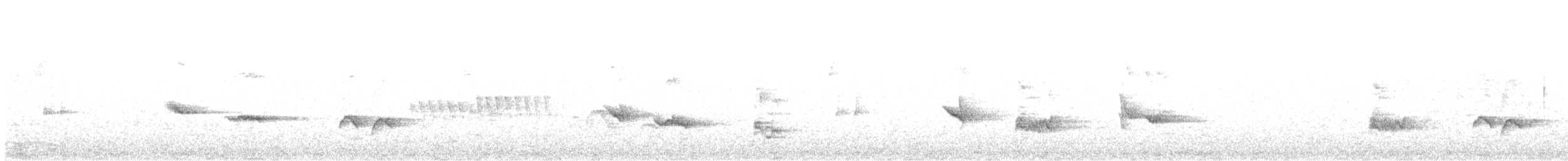 Магелланов дрозд - ML646792632