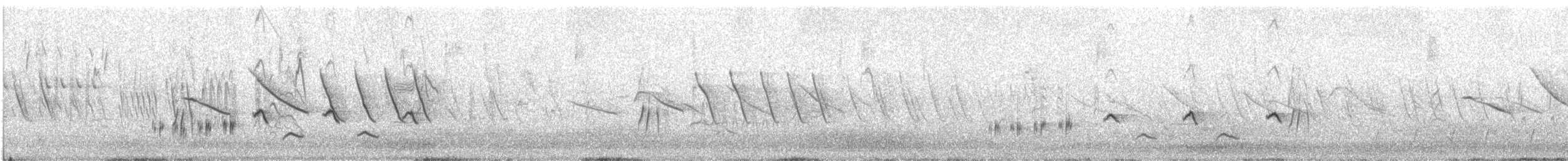 Moqueur plombé - ML646793000