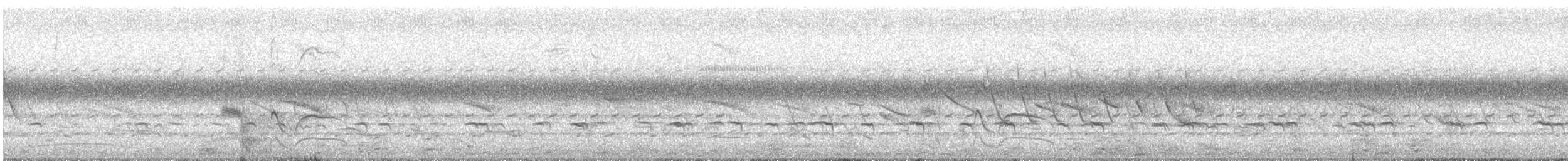 Spotted Nothura - ML646793299