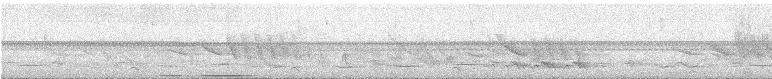 White-tipped Dove - ML646793326