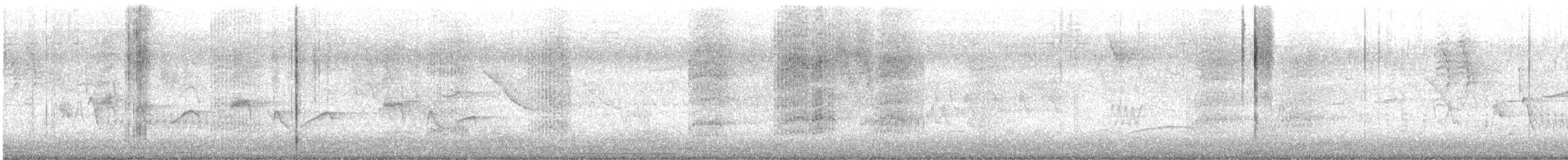 Chivi Vireo - ML646793486