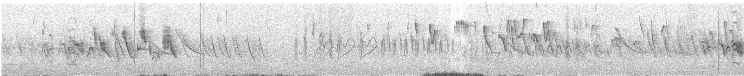 Double-collared Seedeater - ML646793523