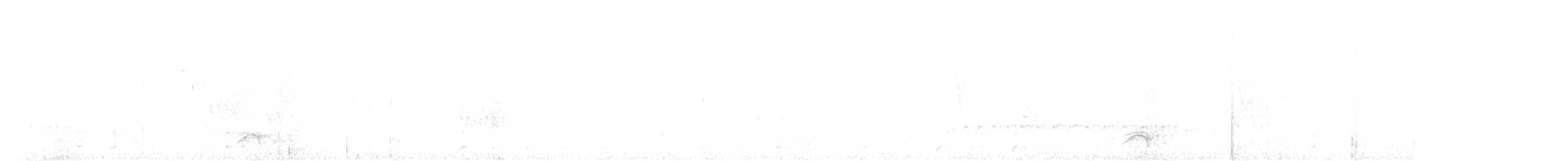 gråtannvaktel - ML646794093