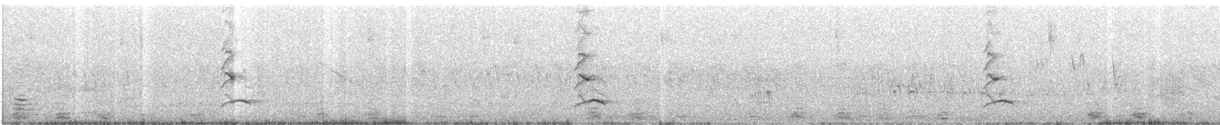 Creamy-bellied Thrush - ML646794379