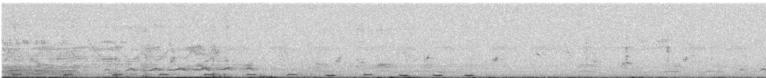 Greater Coucal - ML646794401