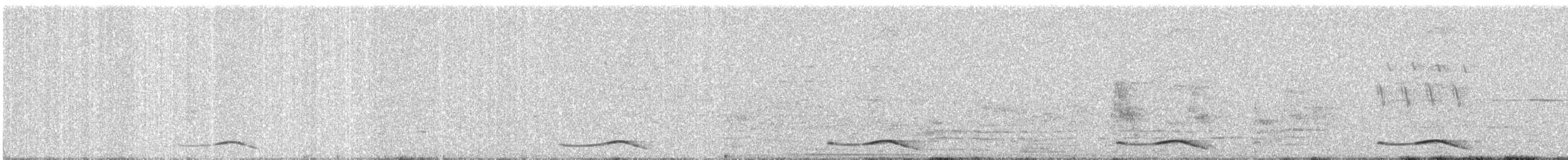 Asian Koel - ML646794408