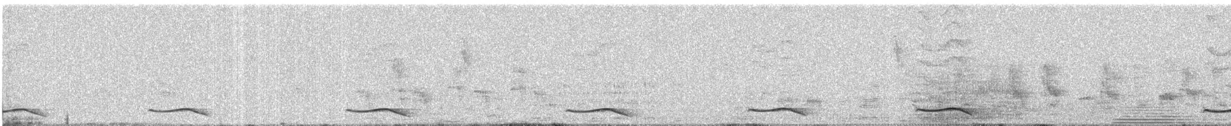 Asian Koel - ML646794410