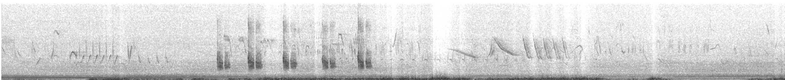 Chalk-browed Mockingbird - ML646794433