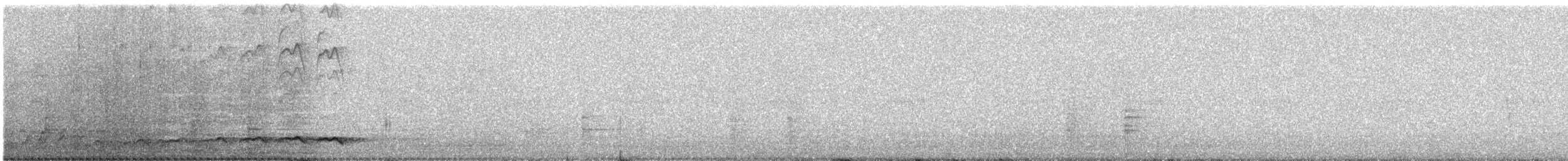 Asian Koel - ML646794536