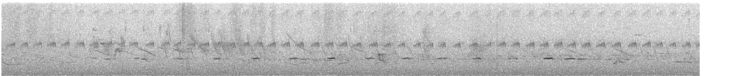 Spotted Nothura - ML646794573