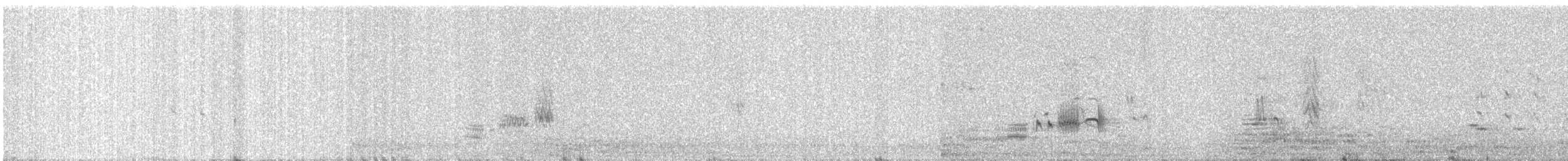 Brahminy Starling - ML646794623