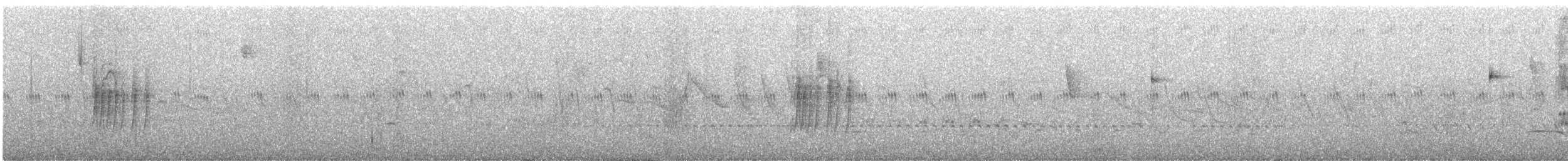 White-crested Tyrannulet - ML646794713