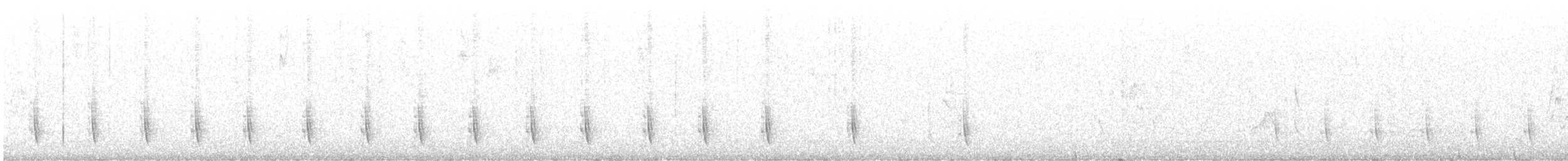 Black-bellied Antwren - ML646794721