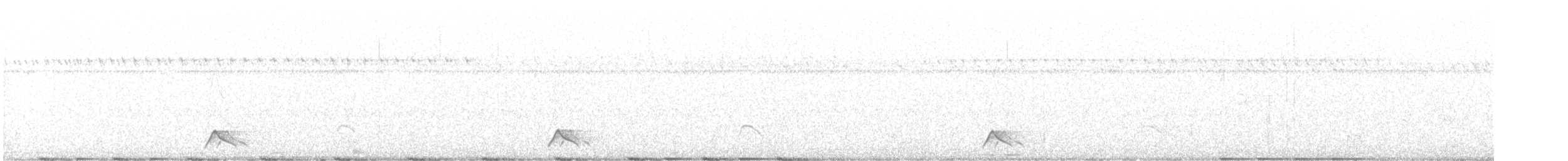 Pygmy Nightjar - ML646794753