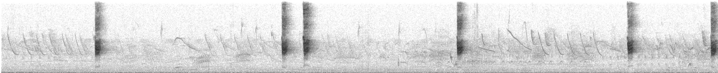 Chalk-browed Mockingbird - ML646794904