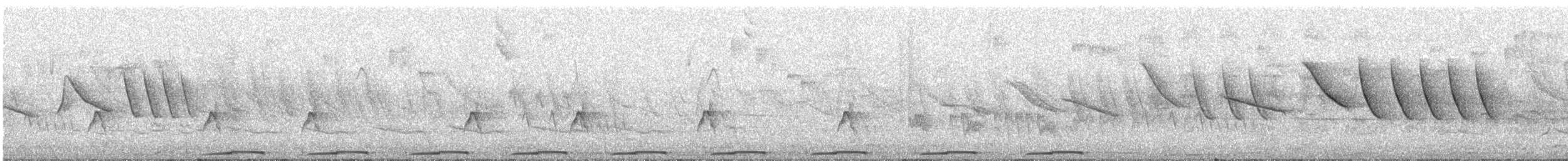 Picui Ground Dove - ML646795048